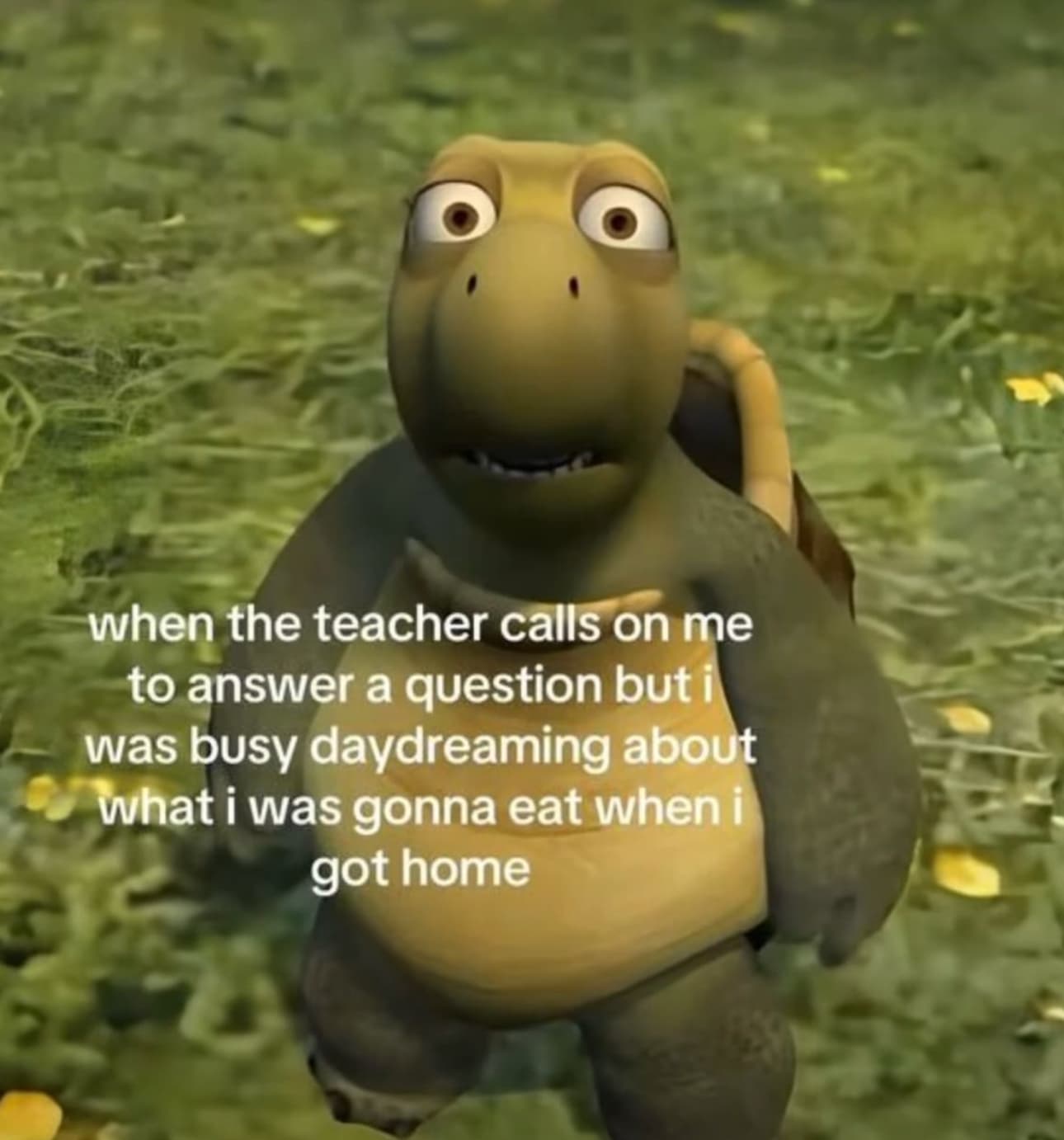 shocked turtle meme - when the teacher calls on me to answer a question but i was busy daydreaming about what i was gonna eat when i got home